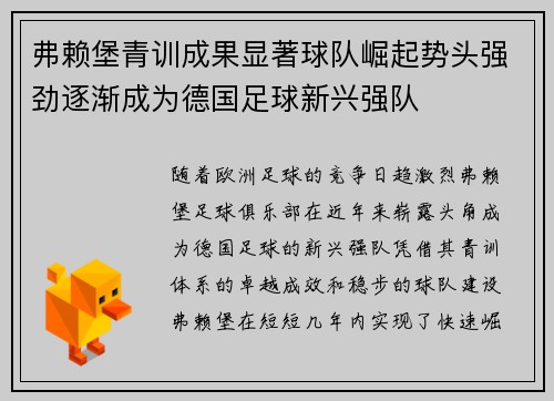 弗赖堡青训成果显著球队崛起势头强劲逐渐成为德国足球新兴强队