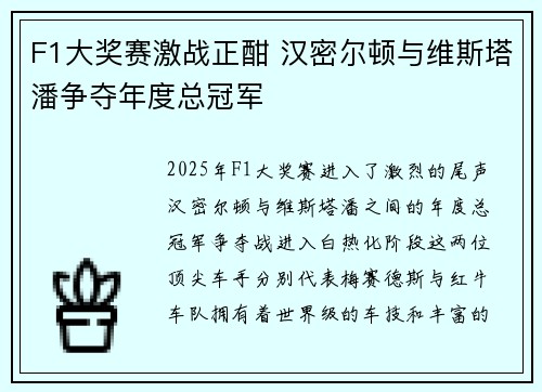 F1大奖赛激战正酣 汉密尔顿与维斯塔潘争夺年度总冠军